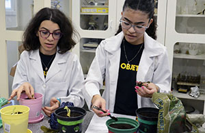 Dia de Laboratório de Ciências: alunos do 7º ano estudam o desenvolvimento da angiosperma (2023)