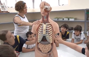 Laboratório de Ciências: alunos estudam o corpo humano - 2019